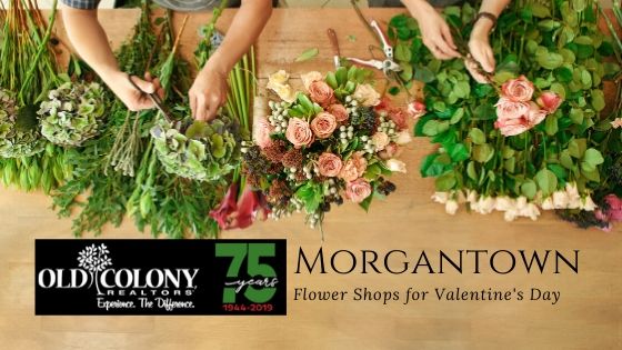 Flower Shops - Morgantown, WV - Old Colony, REALTORS®